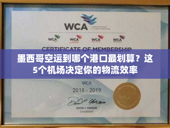 墨西哥空运到哪个港口最划算？这5个机场决定你的物流效率