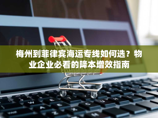 梅州到菲律宾海运专线如何选？物业企业必看的降本增效指南