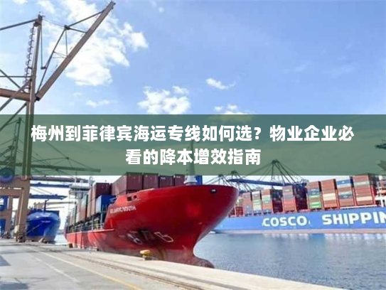 梅州到菲律宾海运专线如何选?物业企业必看的降本增效指南 梅州到菲律宾海运专线如何选?物业企业必看的降本增效指南