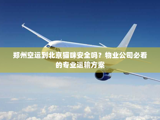 郑州空运到北京猫咪安全吗?物业公司必看的专业运输方案 郑州空运到北京猫咪安全吗?物业公司必看的专业运输方案