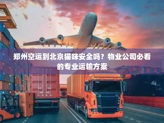 郑州空运到北京猫咪安全吗?物业公司必看的专业运输方案 郑州空运到北京猫咪安全吗?物业公司必看的专业运输方案