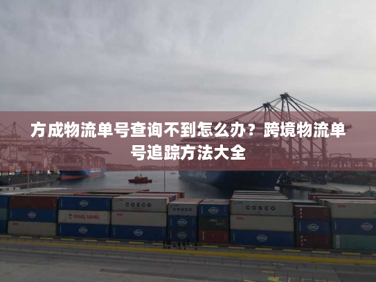 方成物流单号查询不到怎么办?跨境物流单号追踪方法大全 方成物流单号查询不到怎么办?跨境物流单号追踪方法大全