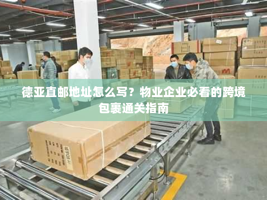 德亚直邮地址怎么写?物业企业必看的跨境包裹通关指南 德亚直邮地址怎么写?物业企业必看的跨境包裹通关指南