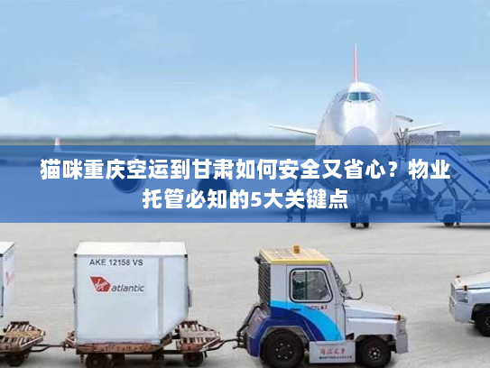 猫咪重庆空运到甘肃如何安全又省心?物业托管必知的5大关键点 猫咪重庆空运到甘肃如何安全又省心?物业托管必知的5大关键点