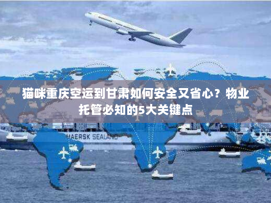 猫咪重庆空运到甘肃如何安全又省心?物业托管必知的5大关键点 猫咪重庆空运到甘肃如何安全又省心?物业托管必知的5大关键点