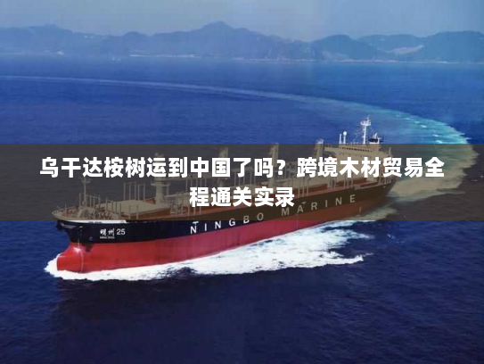 乌干达桉树运到中国了吗?跨境木材贸易全程通关实录 乌干达桉树运到中国了吗?跨境木材贸易全程通关实录