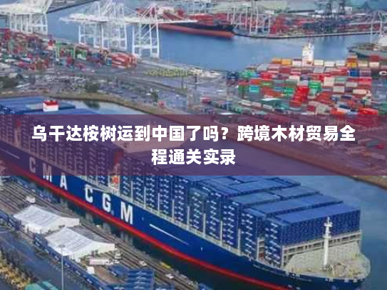 乌干达桉树运到中国了吗?跨境木材贸易全程通关实录 乌干达桉树运到中国了吗?跨境木材贸易全程通关实录