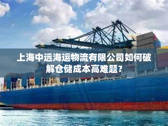 上海中远海运物流有限公司如何破解仓储成本高难题? 上海中远海运物流有限公司如何破解仓储成本高难题?