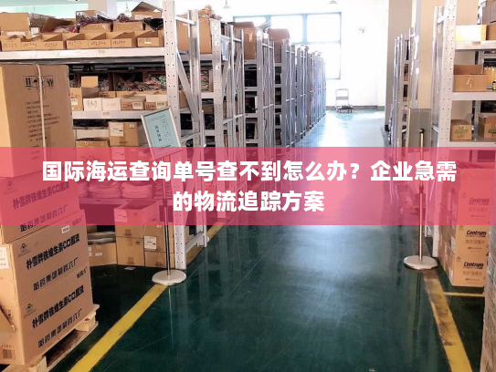 国际海运查询单号查不到怎么办？企业急需的物流追踪方案