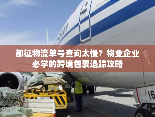 都征物流单号查询太慢?物业企业必学的跨境包裹追踪攻略 都征物流单号查询太慢?物业企业必学的跨境包裹追踪攻略
