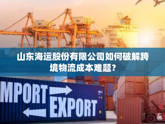 山东海运股份有限公司如何破解跨境物流成本难题？