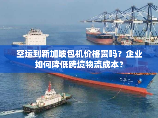 空运到新加坡包机价格贵吗？企业如何降低跨境物流成本？
