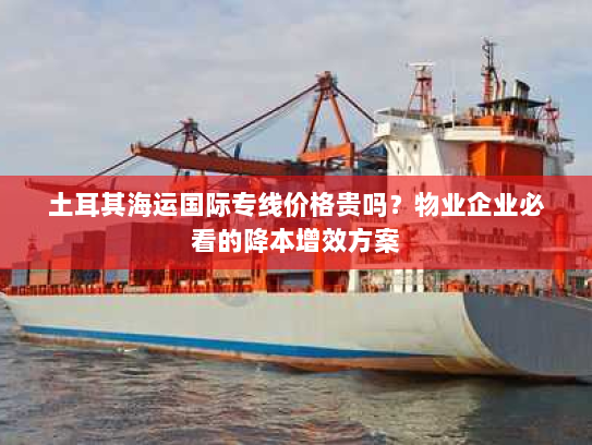 土耳其海运国际专线价格贵吗？物业企业必看的降本增效方案