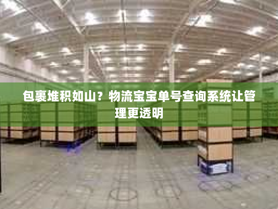 包裹堆积如山？物流宝宝单号查询系统让管理更透明