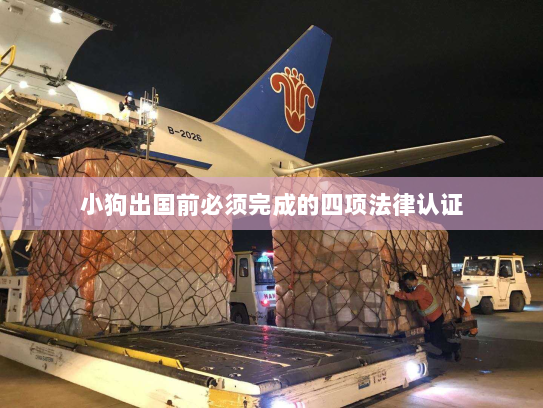 小狗出国前必须完成的四项法律认证 小狗出国前必须完成的四项法律认证