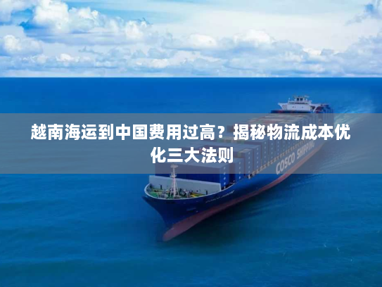 越南海运到中国费用过高？揭秘物流成本优化三大法则