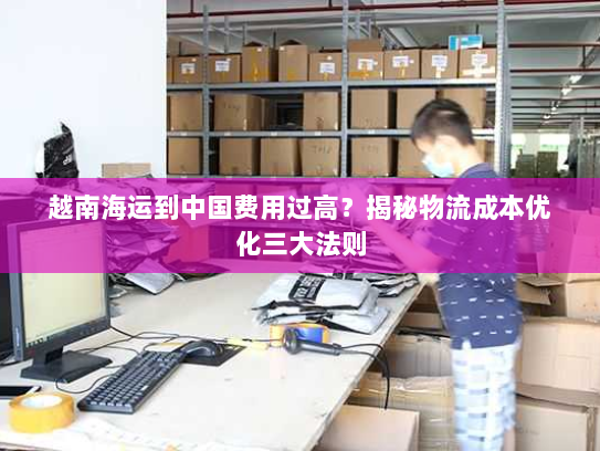 越南海运到中国费用过高？揭秘物流成本优化三大法则