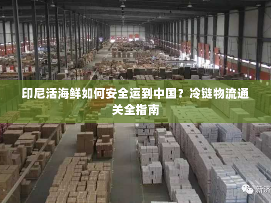 印尼活海鲜如何安全运到中国?冷链物流通关全指南 印尼活海鲜如何安全运到中国?冷链物流通关全指南