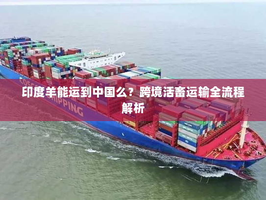 印度羊能运到中国么?跨境活畜运输全流程解析 印度羊能运到中国么?跨境活畜运输全流程解析