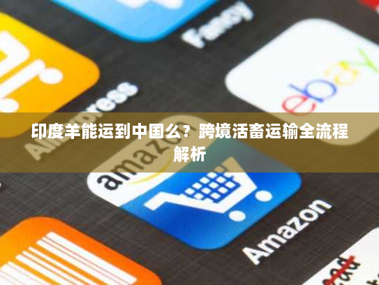 印度羊能运到中国么?跨境活畜运输全流程解析 印度羊能运到中国么?跨境活畜运输全流程解析