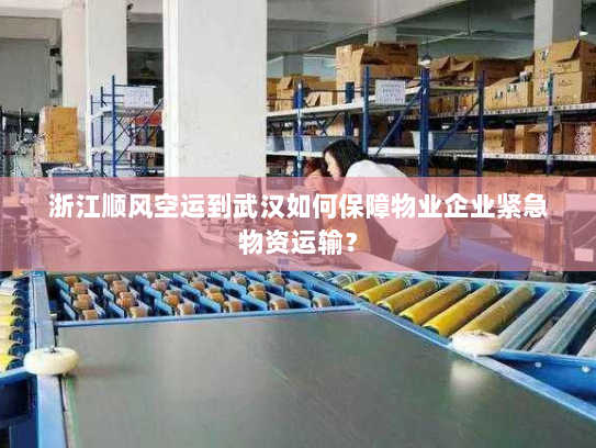 浙江顺风空运到武汉如何保障物业企业紧急物资运输? 浙江顺风空运到武汉如何保障物业企业紧急物资运输?