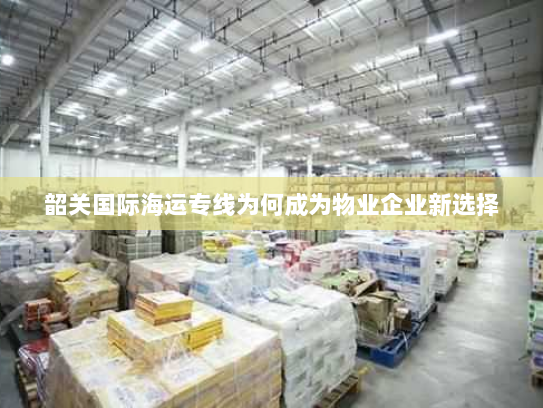 韶关国际海运专线为何成为物业企业新选择 韶关国际海运专线为何成为物业企业新选择