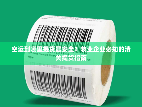 空运到哪里提货最安全？物业企业必知的清关提货指南