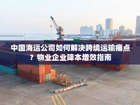 中国海运公司如何解决跨境运输痛点？物业企业降本增效指南