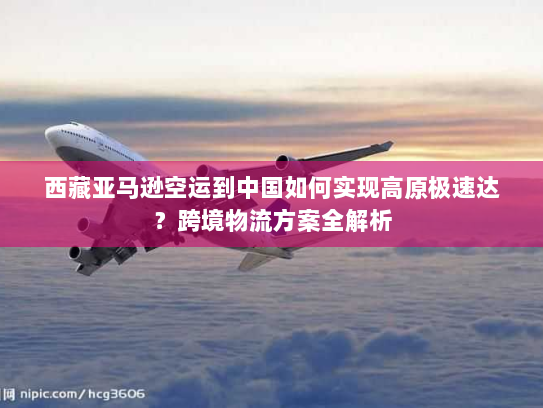 西藏亚马逊空运到中国如何实现高原极速达?跨境物流方案全解析 西藏亚马逊空运到中国如何实现高原极速达?跨境物流方案全解析