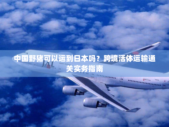 中国野猪可以运到日本吗?跨境活体运输通关实务指南 中国野猪可以运到日本吗?跨境活体运输通关实务指南
