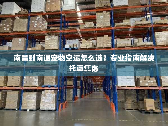 南昌到南通宠物空运怎么选?专业指南解决托运焦虑 南昌到南通宠物空运怎么选?专业指南解决托运焦虑