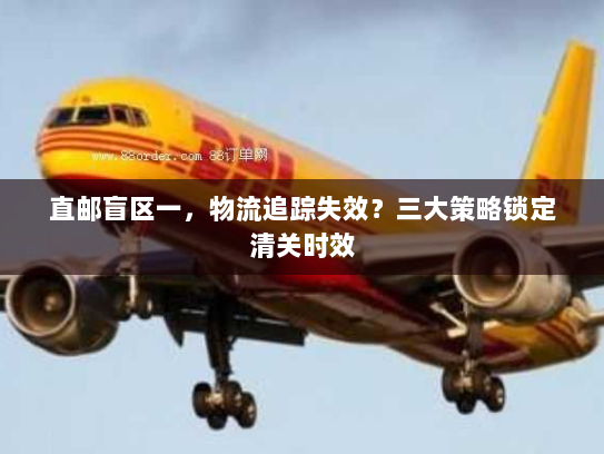 直邮盲区一,物流追踪失效?三大策略锁定清关时效 直邮盲区一,物流追踪失效?三大策略锁定清关时效
