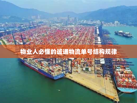 物业人必懂的诚通物流单号结构规律