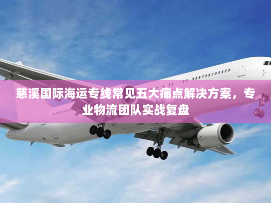 慈溪国际海运专线常见五大痛点解决方案,专业物流团队实战复盘 慈溪国际海运专线常见五大痛点解决方案,专业物流团队实战复盘