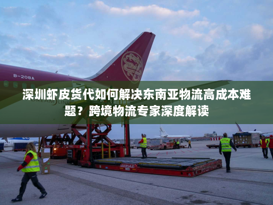 深圳虾皮货代如何解决东南亚物流高成本难题?跨境物流专家深度解读 深圳虾皮货代如何解决东南亚物流高成本难题?跨境物流专家深度解读