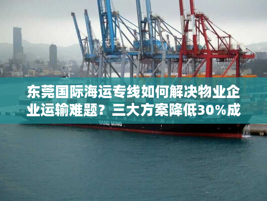 东莞国际海运专线如何解决物业企业运输难题?三大方案降低30%成本 东莞国际海运专线如何解决物业企业运输难题?三大方案降低30%成本