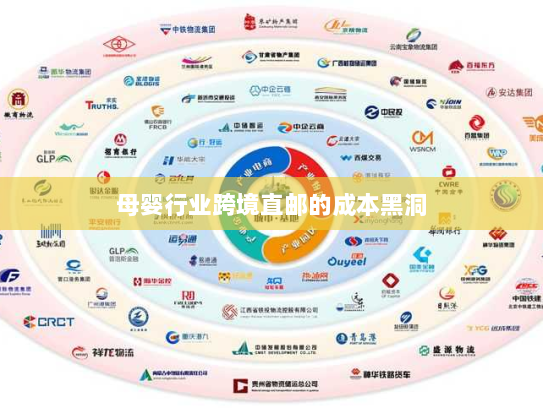 母婴行业跨境直邮的成本黑洞 母婴行业跨境直邮的成本黑洞