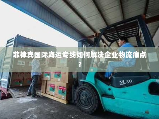 菲律宾国际海运专线如何解决企业物流痛点? 菲律宾国际海运专线如何解决企业物流痛点?