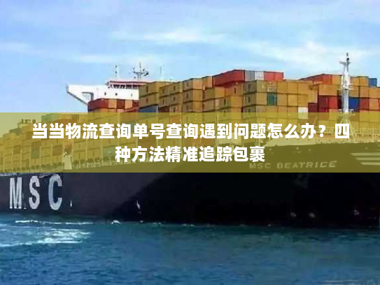 当当物流查询单号查询遇到问题怎么办?四种方法精准追踪包裹 当当物流查询单号查询遇到问题怎么办?四种方法精准追踪包裹