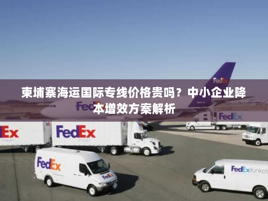 柬埔寨海运国际专线价格贵吗?中小企业降本增效方案解析 柬埔寨海运国际专线价格贵吗?中小企业降本增效方案解析