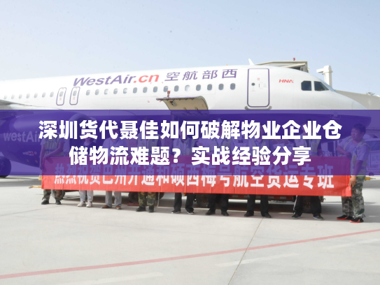 深圳货代聂佳如何破解物业企业仓储物流难题?实战经验分享 深圳货代聂佳如何破解物业企业仓储物流难题?实战经验分享