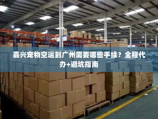 嘉兴宠物空运到广州需要哪些手续?全程代办+避坑指南 嘉兴宠物空运到广州需要哪些手续?全程代办+避坑指南