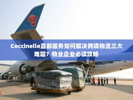 Coccinelle直邮服务如何解决跨境物流三大难题?物业企业必读攻略 Coccinelle直邮服务如何解决跨境物流三大难题?物业企业必读攻略