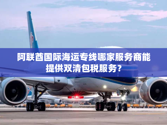 阿联酋国际海运专线哪家服务商能提供双清包税服务？