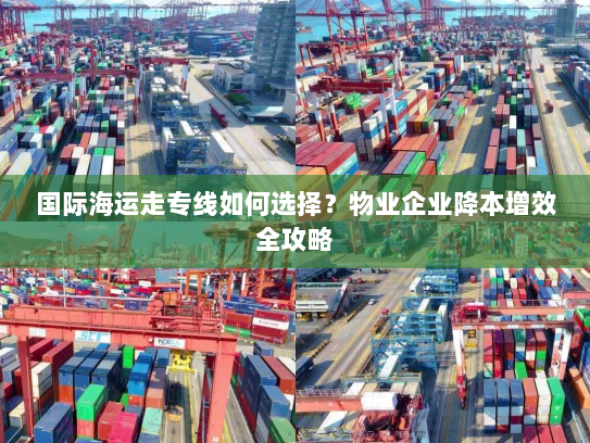国际海运走专线如何选择?物业企业降本增效全攻略 国际海运走专线如何选择?物业企业降本增效全攻略