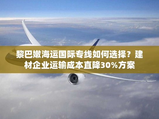 黎巴嫩海运国际专线如何选择？建材企业运输成本直降30%方案