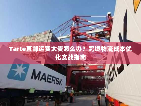 Tarte直邮运费太贵怎么办？跨境物流成本优化实战指南