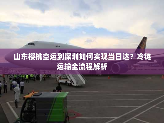 山东樱桃空运到深圳如何实现当日达?冷链运输全流程解析 山东樱桃空运到深圳如何实现当日达?冷链运输全流程解析