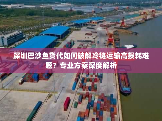 深圳巴沙鱼货代如何破解冷链运输高损耗难题?专业方案深度解析 深圳巴沙鱼货代如何破解冷链运输高损耗难题?专业方案深度解析