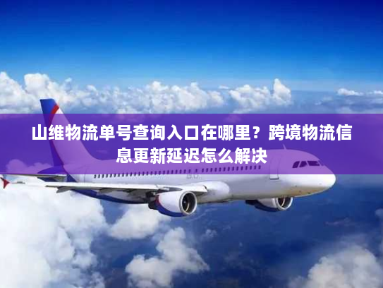 山维物流单号查询入口在哪里?跨境物流信息更新延迟怎么解决 山维物流单号查询入口在哪里?跨境物流信息更新延迟怎么解决